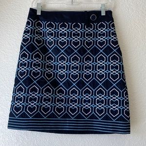 Ann Taylor skirt